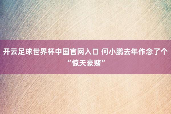 開云足球世界杯中國官網(wǎng)入口 何小鵬去年作念了個“驚天豪賭”