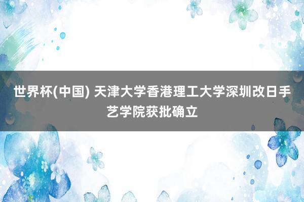 世界杯(中國(guó)) 天津大學(xué)香港理工大學(xué)深圳改日手藝學(xué)院獲批確立