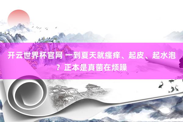 開(kāi)云世界杯官網(wǎng) 一到夏天就瘙癢、起皮、起水泡?正本是真菌在煩躁